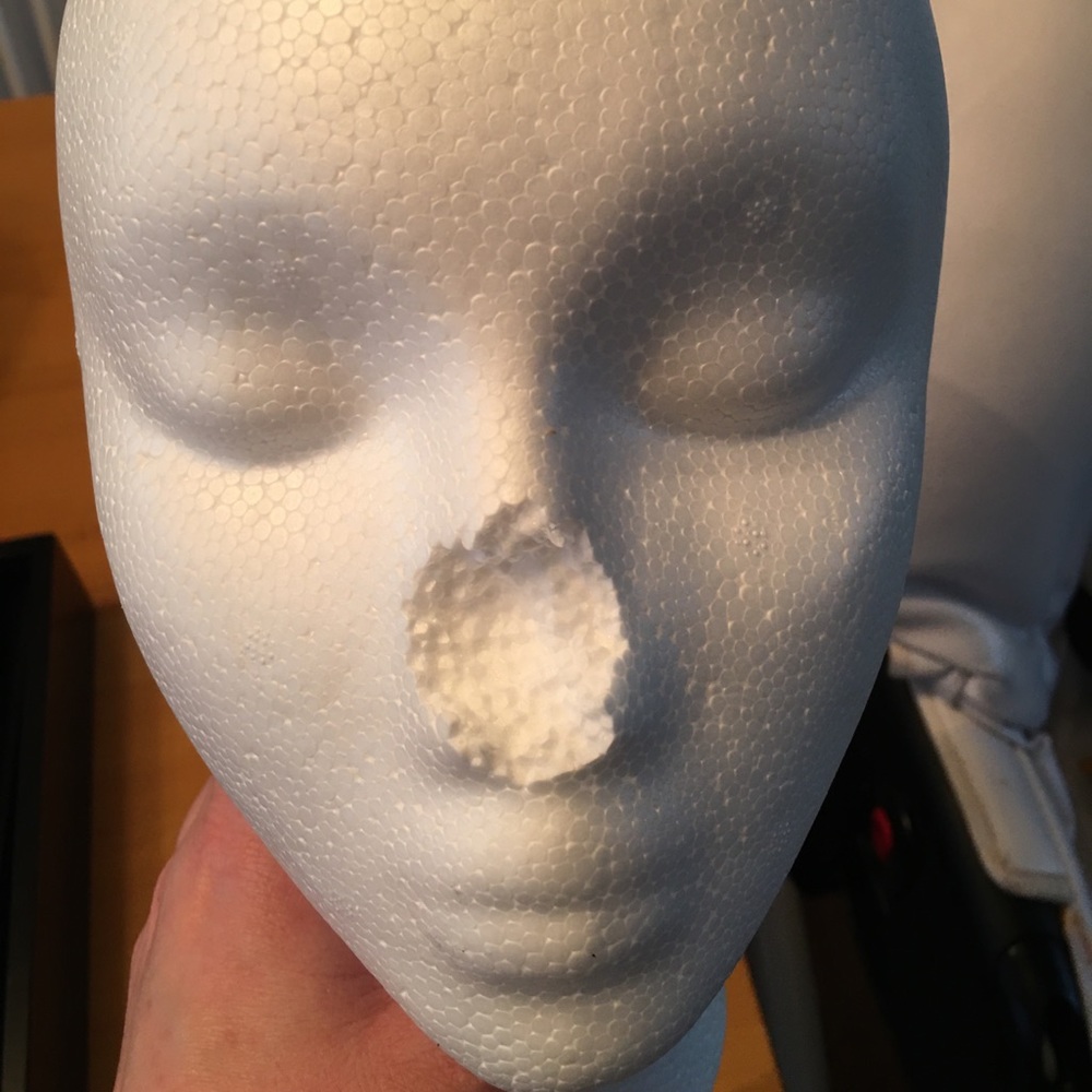 Meet your Posher, Anna